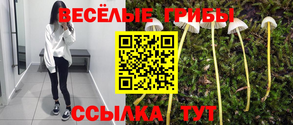 даркнет сайт  Псилоцибиновые грибы GOLDEN TEACHER  Вход с VPN  Туапсе  Псилоцибиновые грибы MAGIC MUSHROOMS 