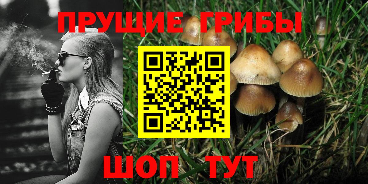 Псилоцибиновые грибы Cubensis Туапсе
